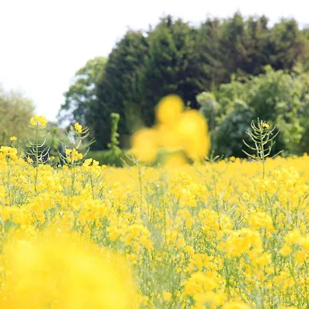 Prázdninový dům 10 Person In Haderslev-by Traum *